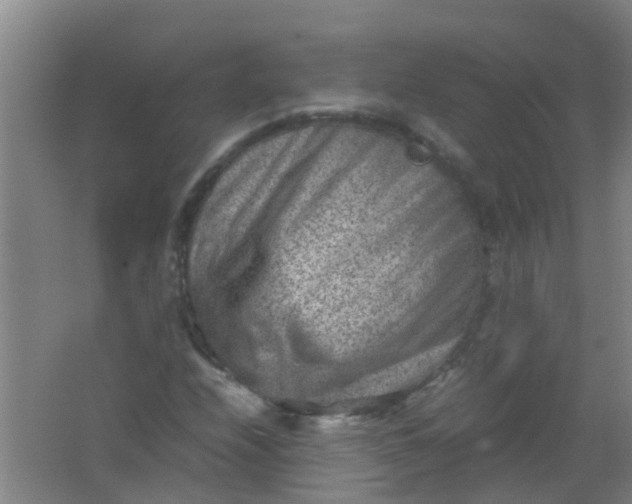 X0000062131208200512231429