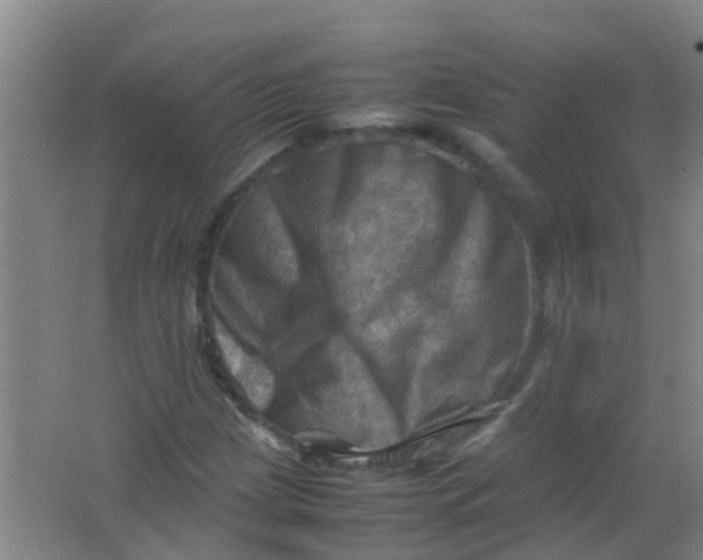 X0000062131209200512231429