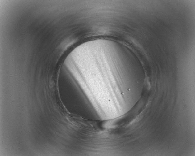 X0000062131210200512231429