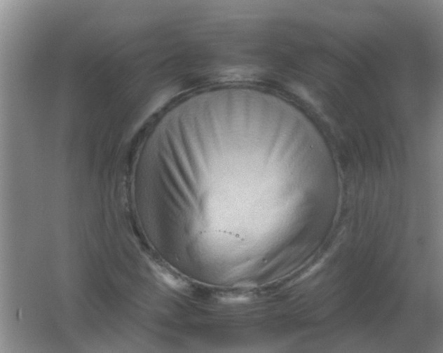 X0000062131211200512231429