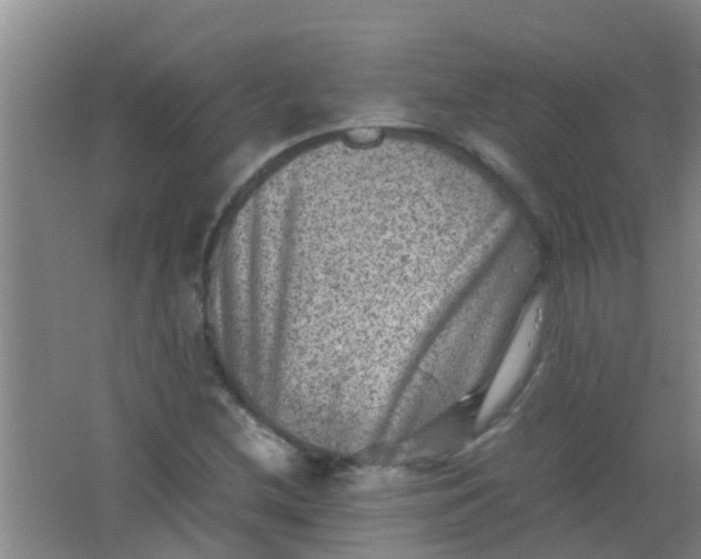 X0000062131212200512231429