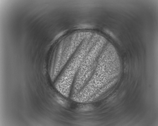 X0000062131213200512231429