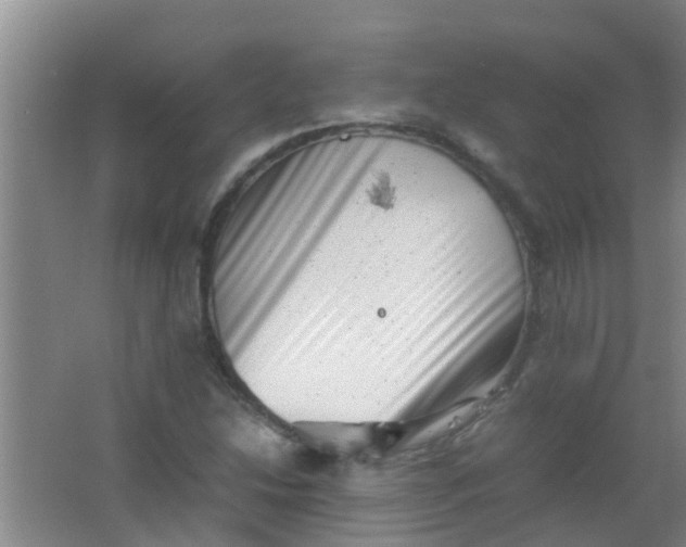 X0000062131214200512231429