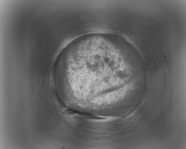 X0000062131215200512231429