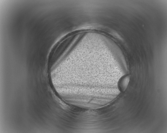 X0000062131216200512231429