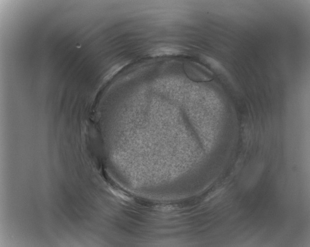 X0000062131217200512231429