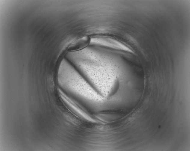 X0000062131218200512231429