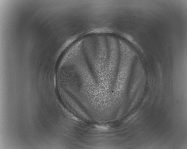 X0000062131221200512231429