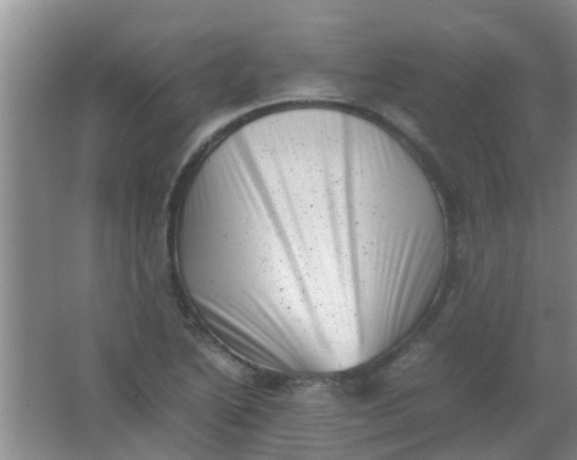 X0000062131222200512231429