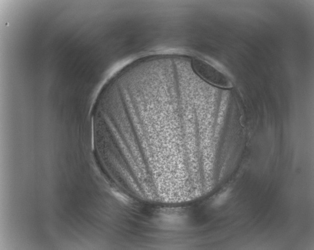 X0000062131223200512231429