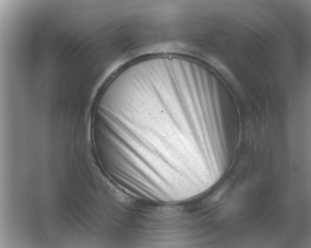 X0000062131224200512231429