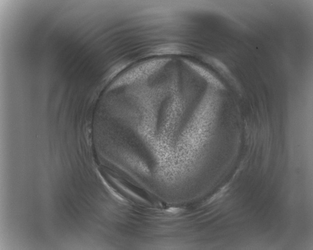 X0000062131225200512231429