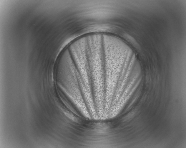 X0000062131226200512231429