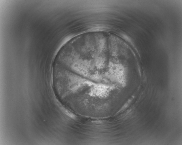 X0000062131227200512231429