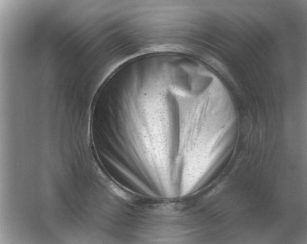 X0000062131228200512231429