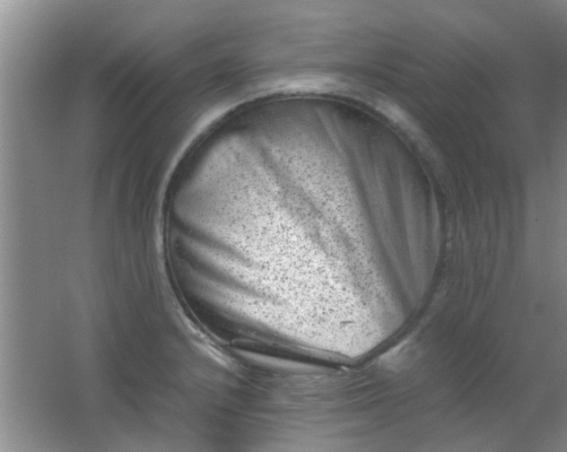 X0000062131232200512231429