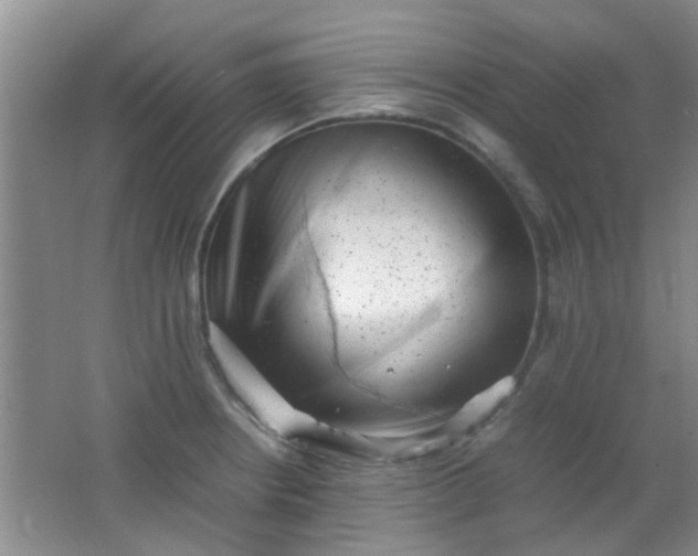 X0000062131234200512231429