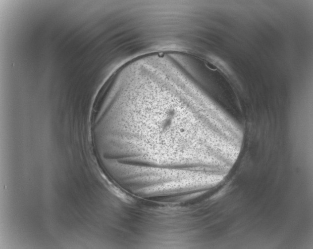 X0000062131236200512231429