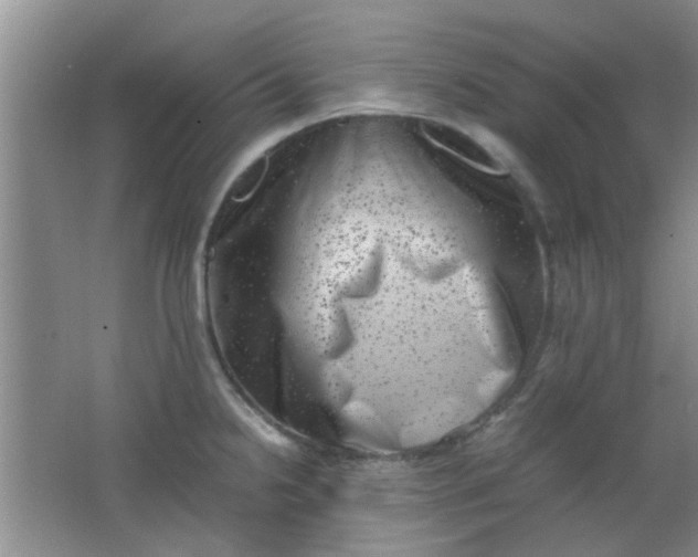 X0000062131238200512231429