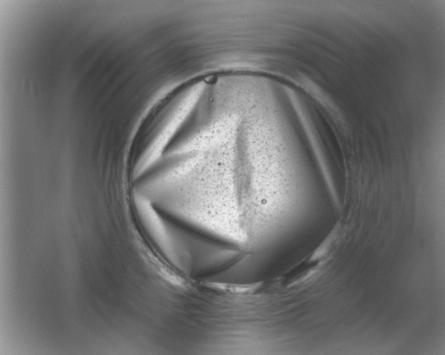 X0000062131240200512231429