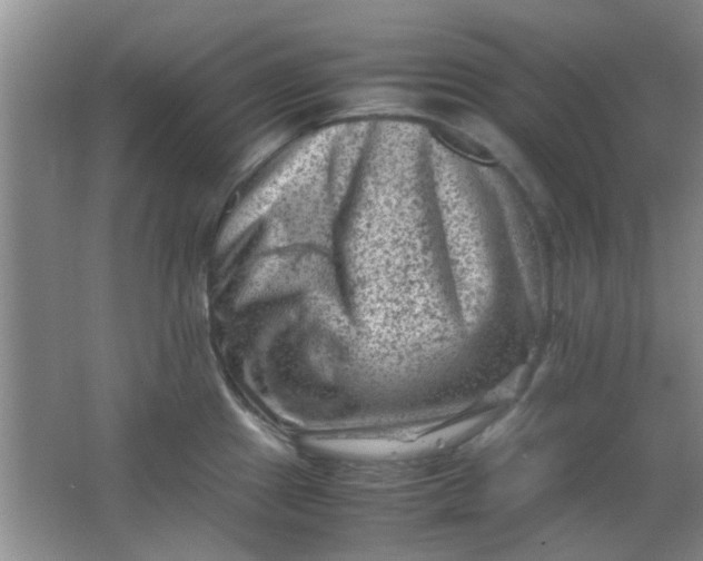 X0000062131241200512231429