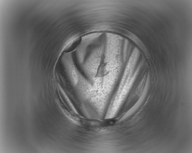 X0000062131242200512231429