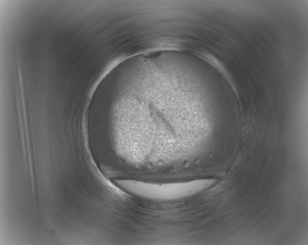 X0000062131243200512231429