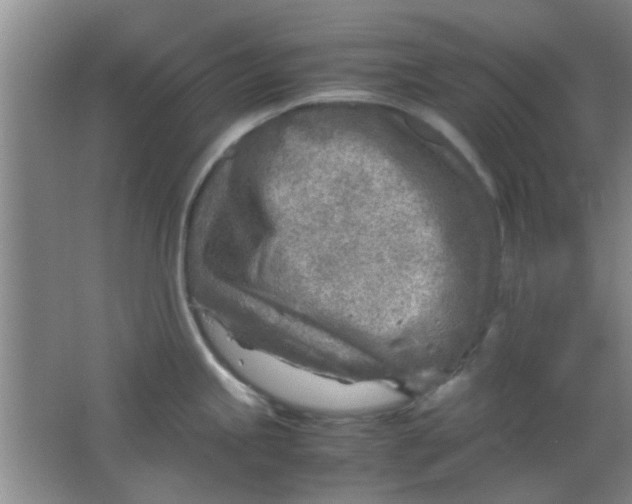 X0000062131245200512231429