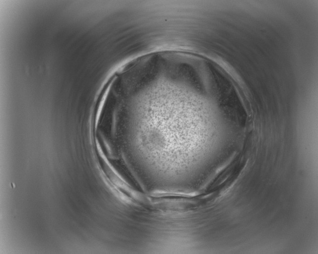 X0000062131246200512231429