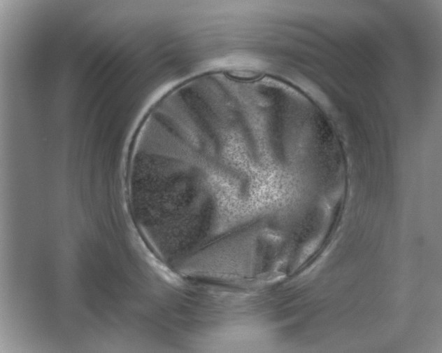 X0000062131248200512231429