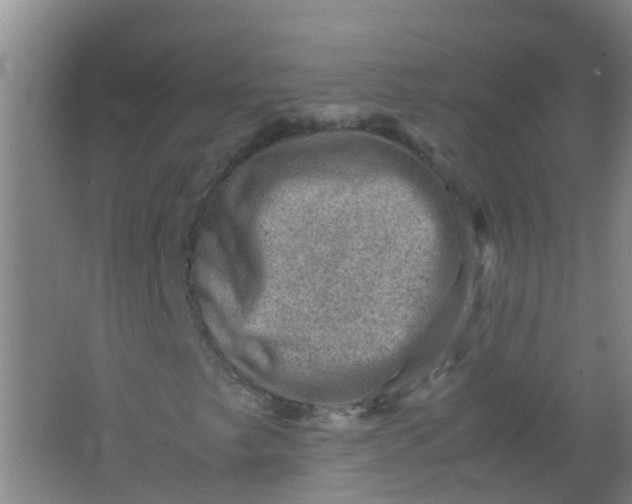 X0000062131249200512231428