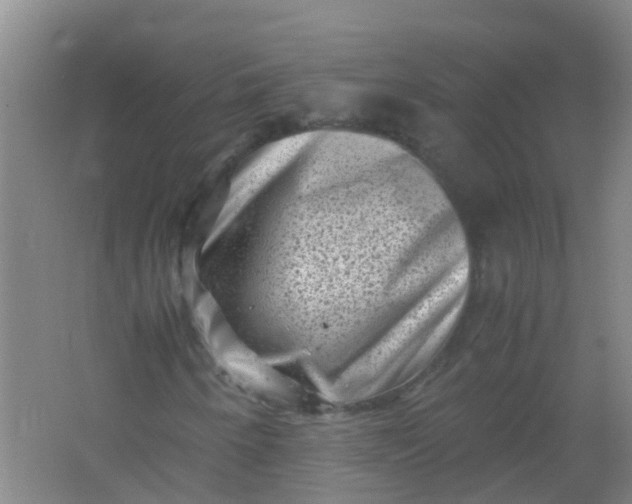 X0000062131250200512231428