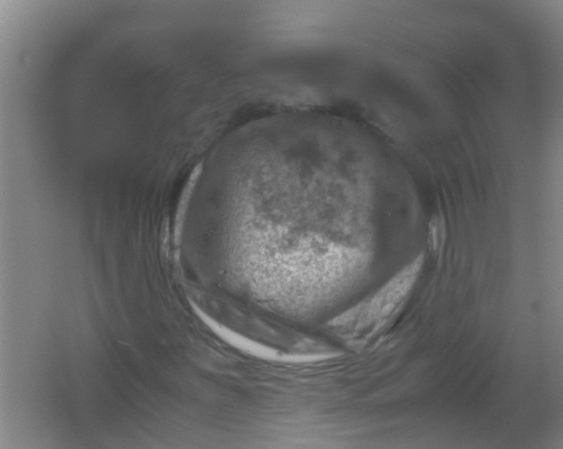 X0000062131251200512231428