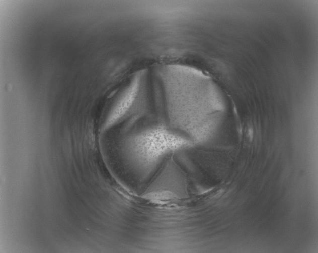 X0000062131252200512231428