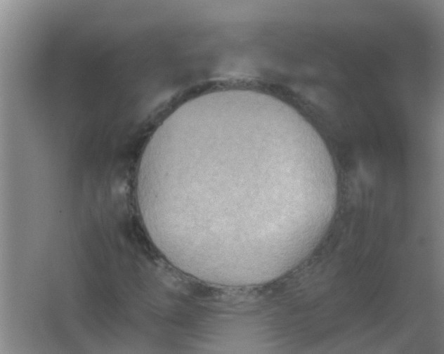 X0000062131254200512231428