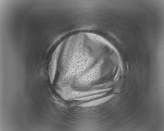 X0000062131256200512231428