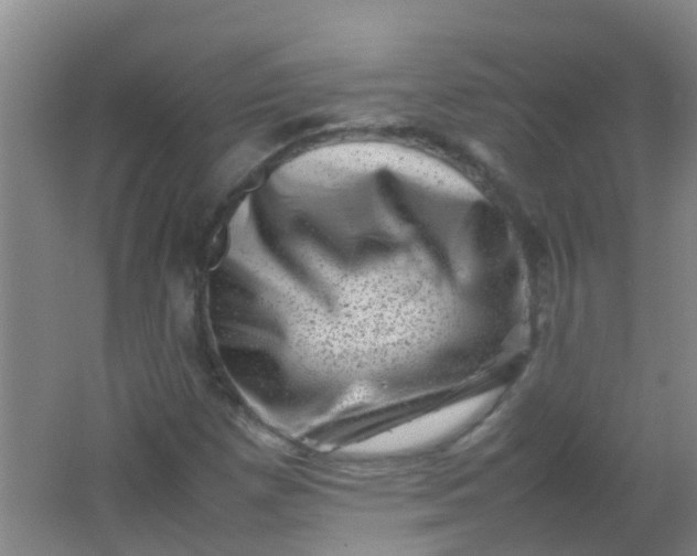 X0000062131257200512231428