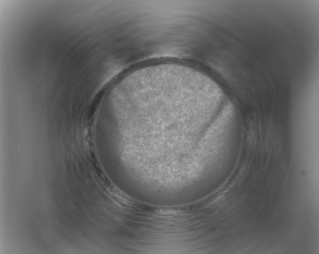 X0000062131258200512231428