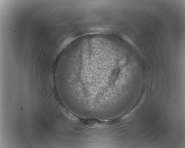 X0000062131259200512231428