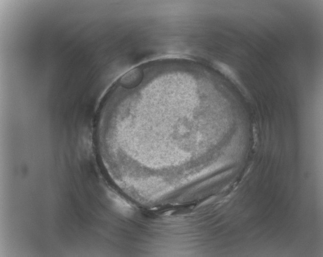 X0000062131260200512231428