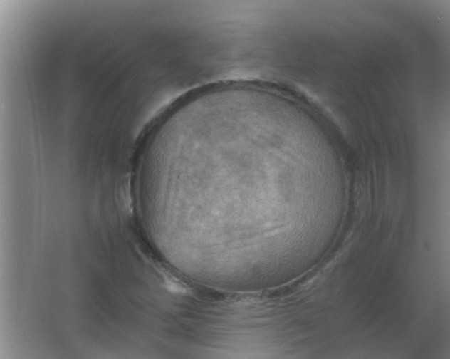 X0000062131262200512231428