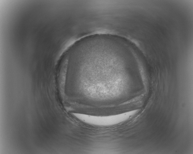 X0000062131263200512231428