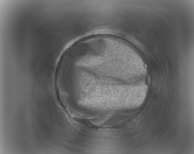 X0000062131264200512231428