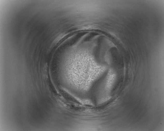 X0000062131265200512231428