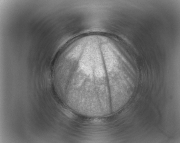 X0000062131266200512231428