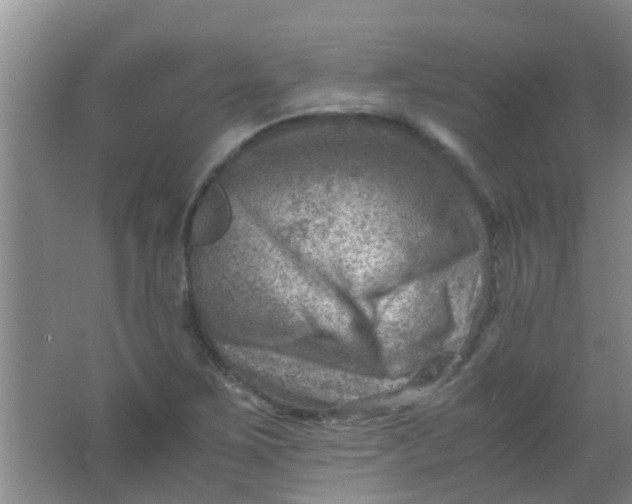 X0000062131267200512231428