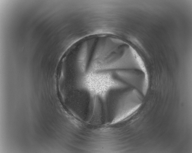 X0000062131268200512231428