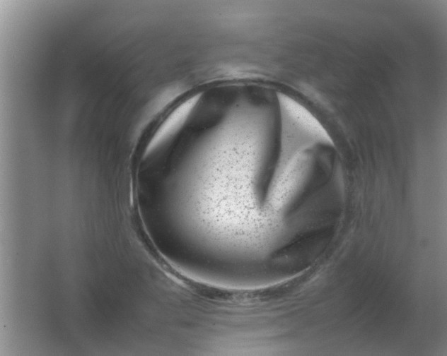 X0000062131269200512231428