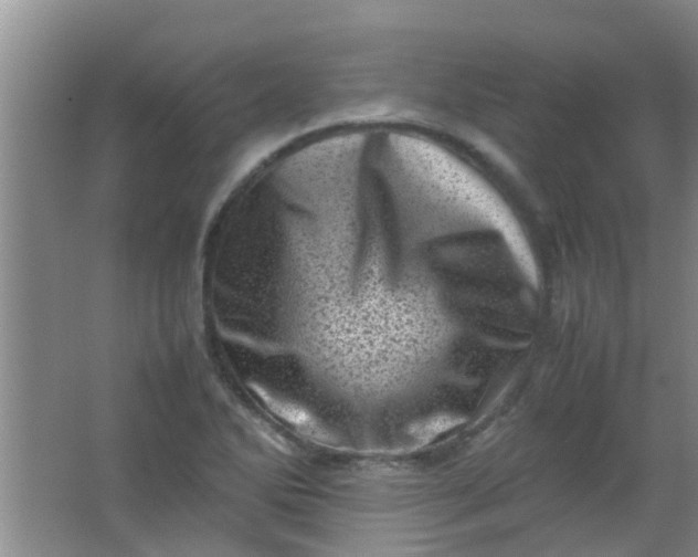 X0000062131270200512231428