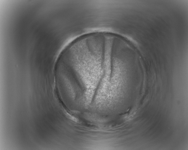 X0000062131271200512231428